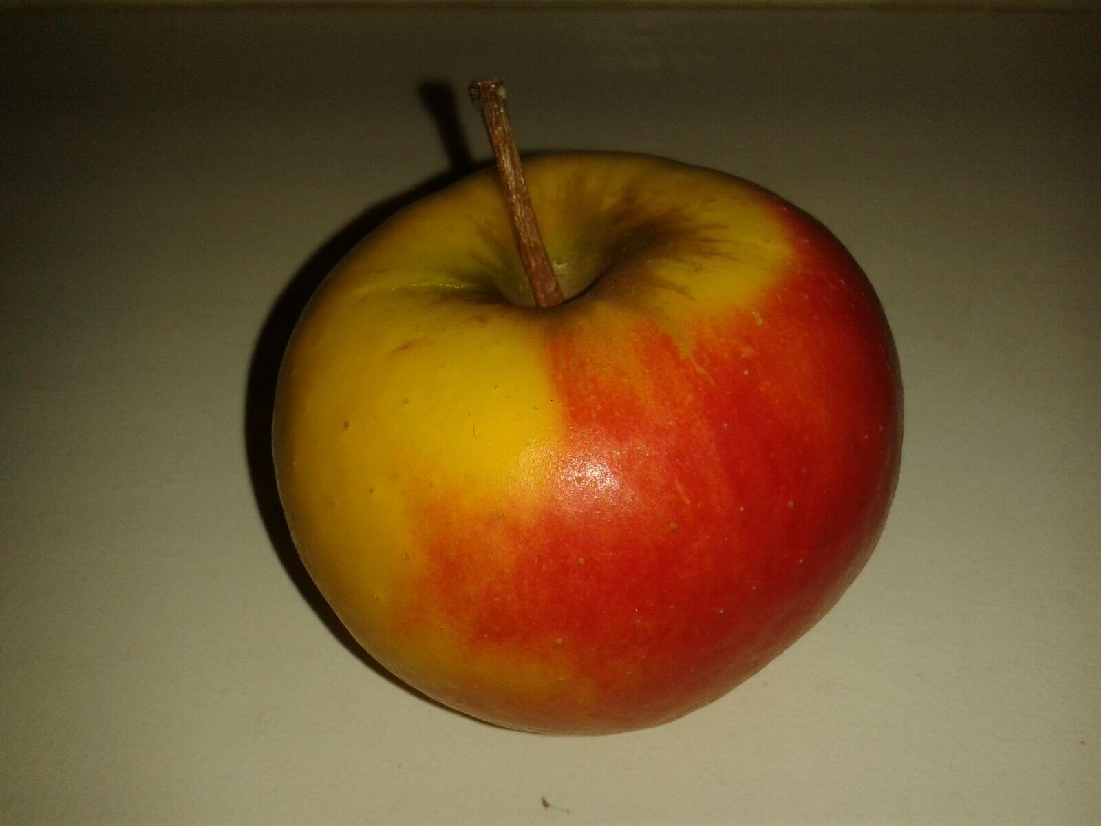 Appel Malus domestica 'Elstar' Laagstam uit de vollle grond