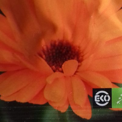 Goudsbloem Bio