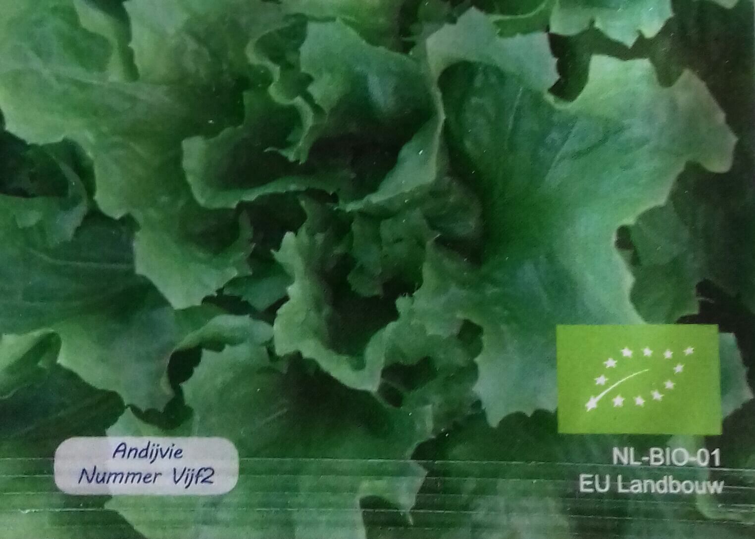 Andijvie 'Nummer Vijf2' Bio