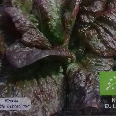 Pluksla 'Catalogna'