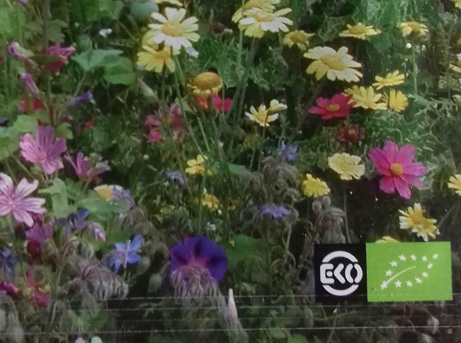 Bloemenmengsel, hoog Bio