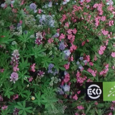Bloemenmengsel, laag Bio