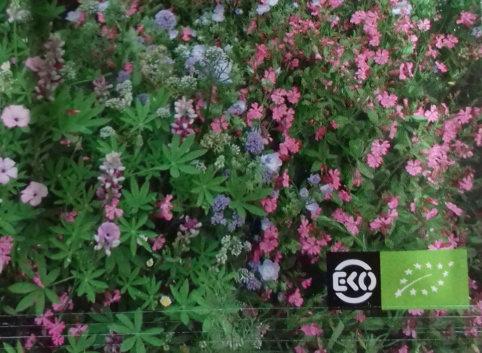 Bloemenmengsel, laag Bio