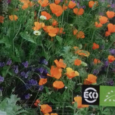 Bloemenmengsel, middelhoog Bio