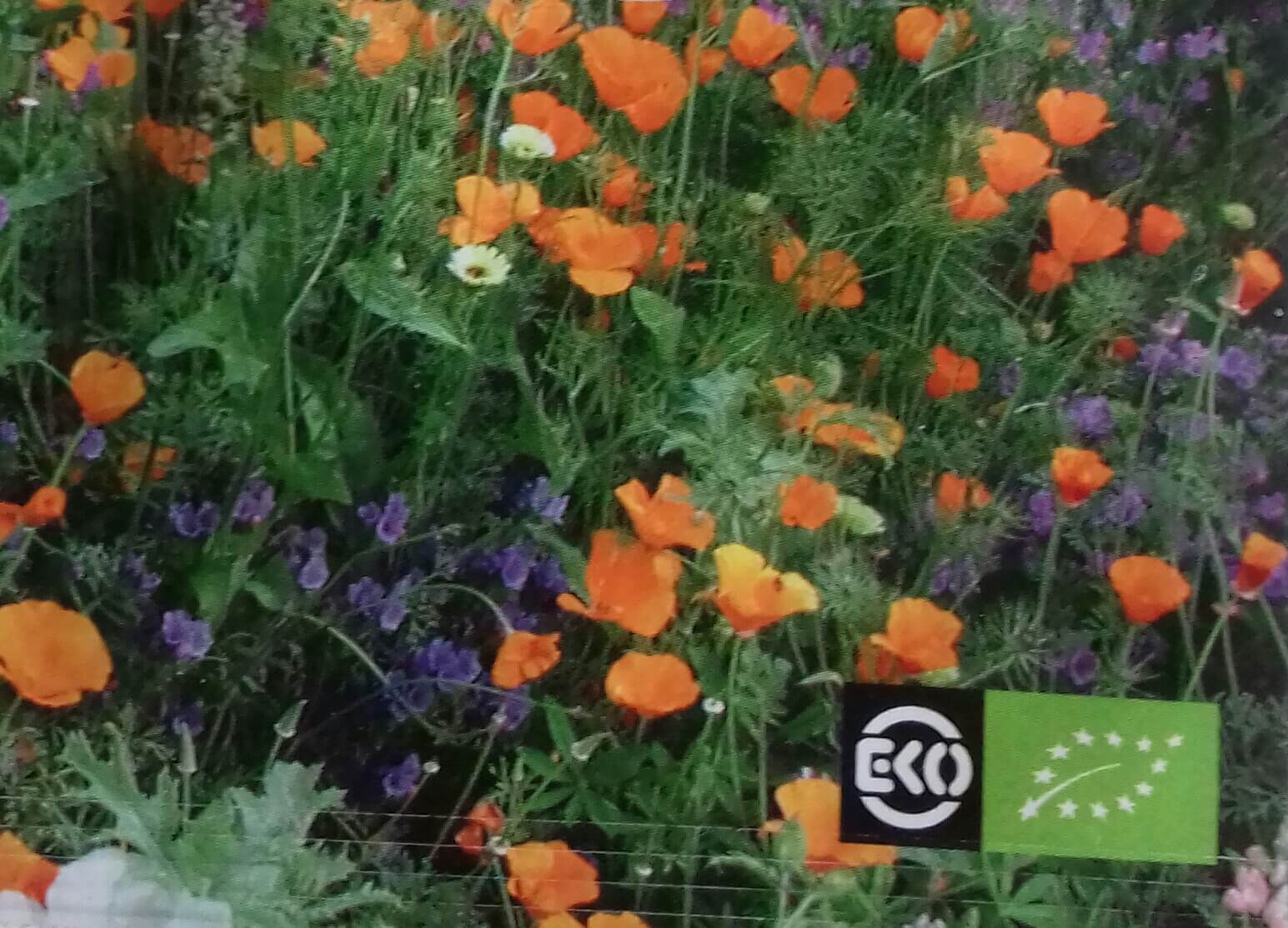 Bloemenmengsel, middelhoog Bio