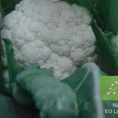 Bloemkool 'Flora Blanca' Bio