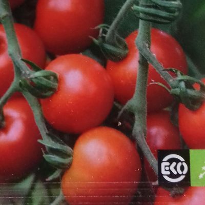 Cherrytomaat 'Zuckertraube' Bio