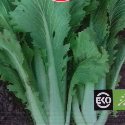 Chinese kool 'Granaat' Bio