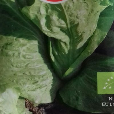 Groenlof 'Zuckerhut' Bio