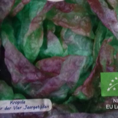 Kropsla 'Wonder der Vier Jaargetijden' Bio