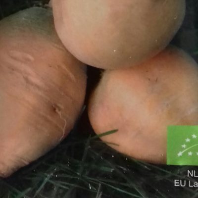 Meiraap 'Goldana type Ronde Gele' Bio