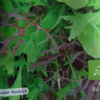 Mesclun 'Aziatisch' Bio