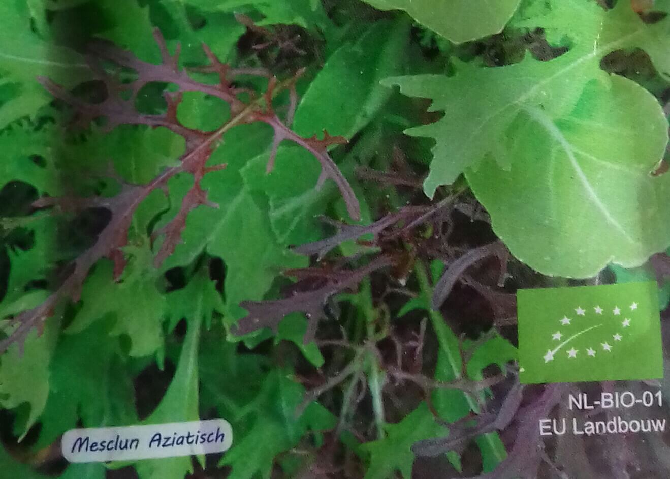Mesclun 'Aziatisch' Bio
