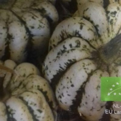 Pompoen 'Sweet Dumpling' Bio