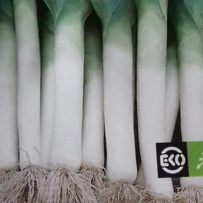 Prei 'Blauwgroene Herfst' Bio