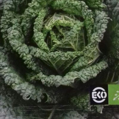 Savooie kool 'Bloemendaalse Gele' Bio