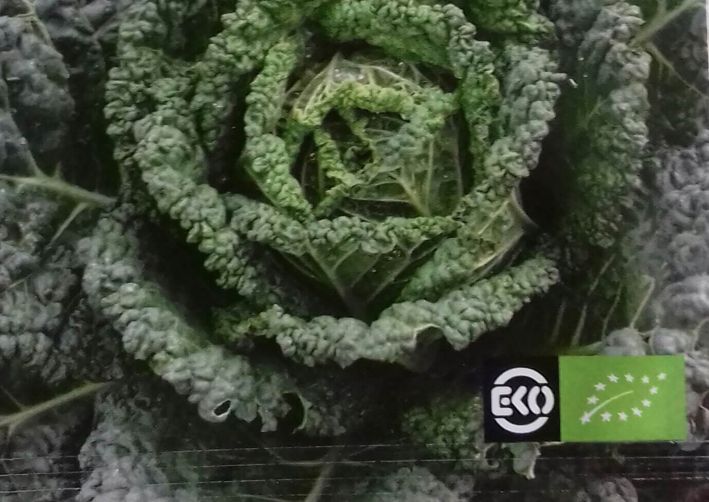 Savooie kool 'Bloemendaalse Gele' Bio