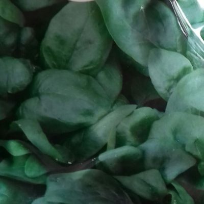 Spinazie Spinacia oleracea 'Amsterdams Reuzenblad'