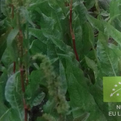 Spinaziezuring Bio