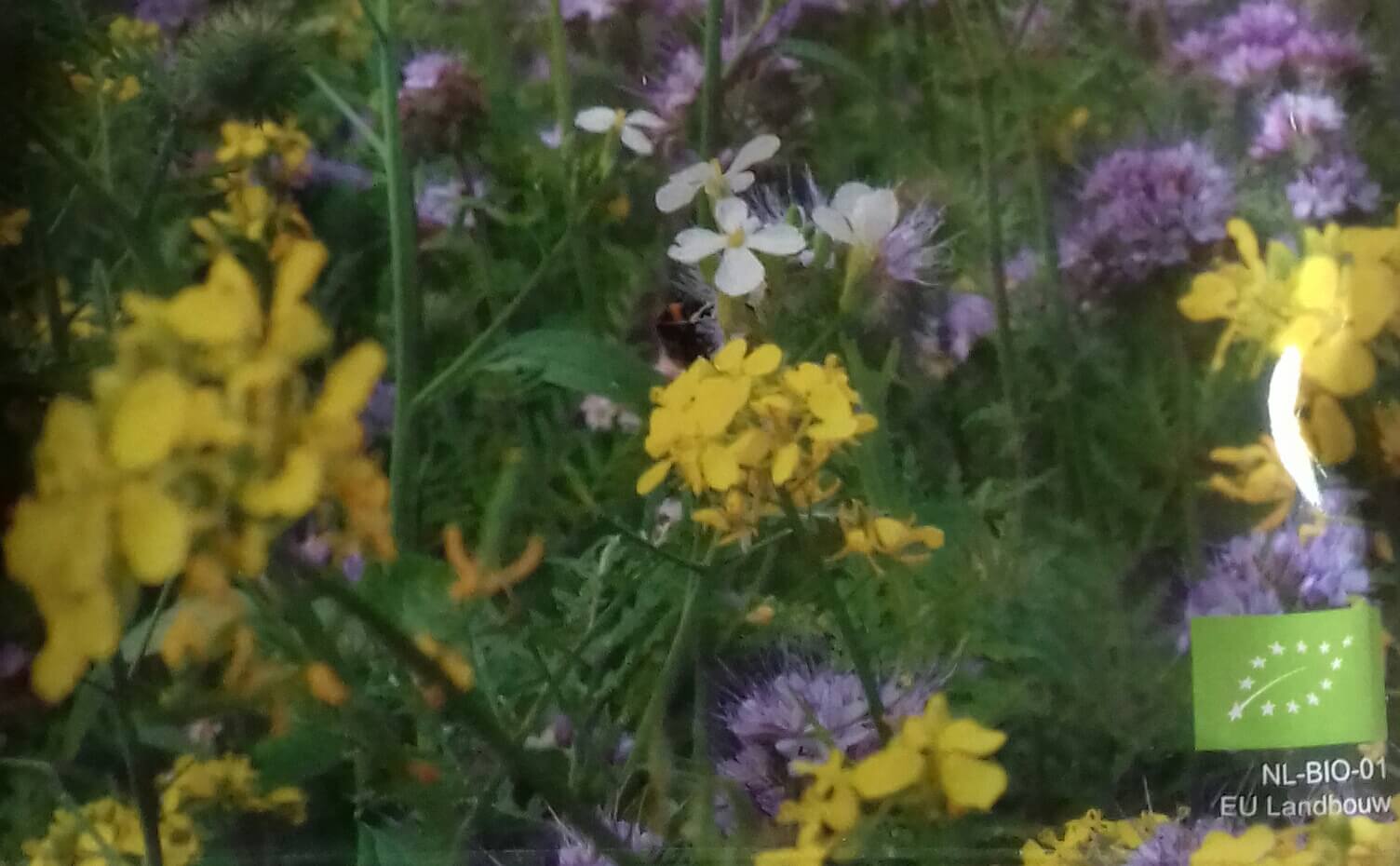 Bloemenmengsel, Tübingermengsel Bio