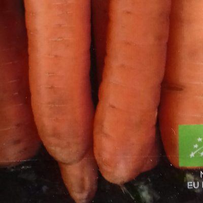 Winterwortel 'Flakkeese 2' Bio