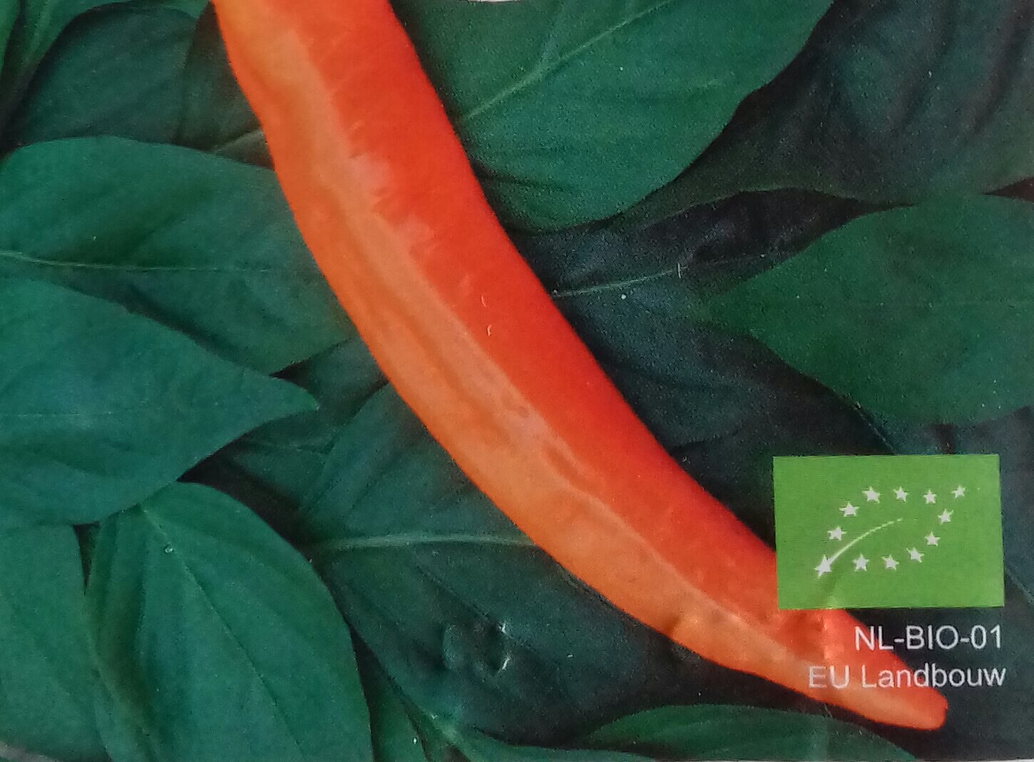 Zoetpuntpaprika 'Kyra' Bio