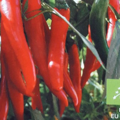 Peper 'Westlandse Lange Rode'