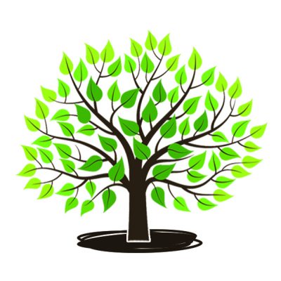 Walnoot, Juglans regia'Big and easy' ( groot en makkelijk te kraken!) spillen, kale wortel
