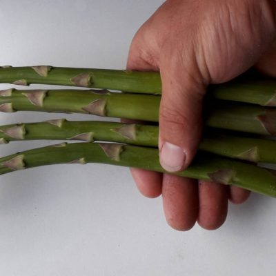 Groene Asperge, Asparagus 'Aspalim' (Zeer smakelijk en productief)excellent 70gr+(!!) LEVERBAAR VANAF HALF MAART/ APRIL