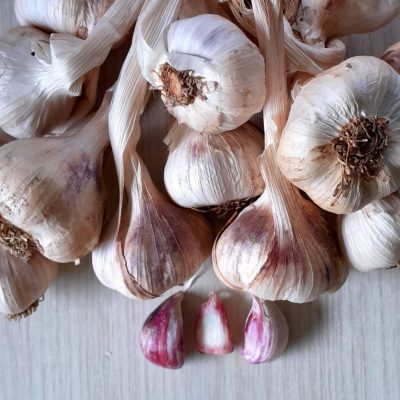 50 losse knoflookteentjes, Mix verschillende goede rassen ( Allium s.)