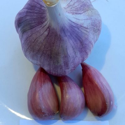 knoflook, Allium 'Oosterdel' (Hardneck-ras) Onbespoten en zonder kunstmest