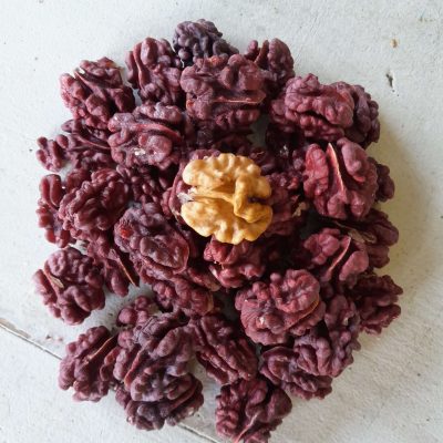 Roodkernige walnoot, Juglans regia 'Rote Subler II' NIEUW GOED RAS (jonge spillen in 3Lpot)